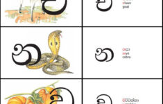 Alphabet Cards Sinhala Alphabet Cards Alphabet Writing Letter