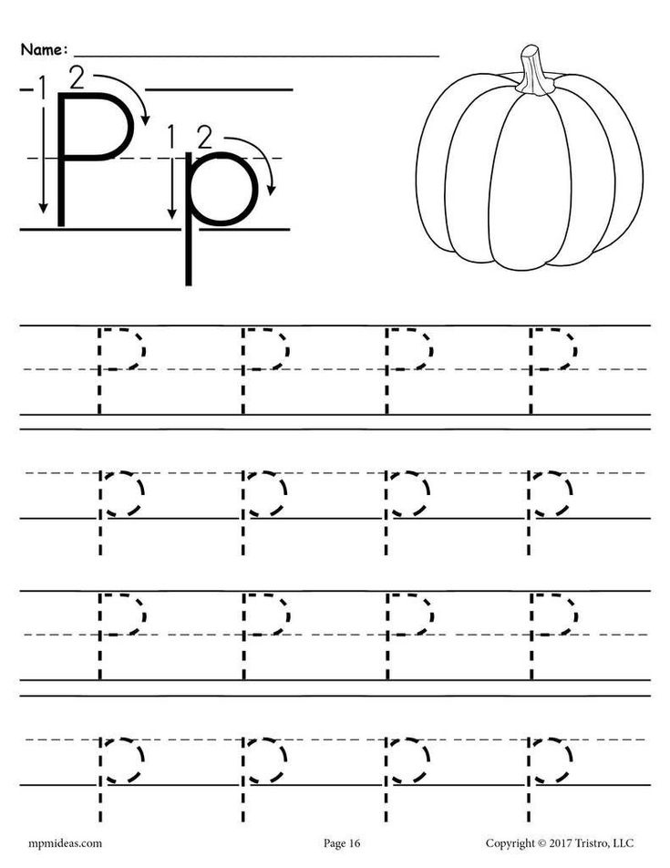 Letter Pp Worksheets Simple Template Educational In 2020 Letter P 