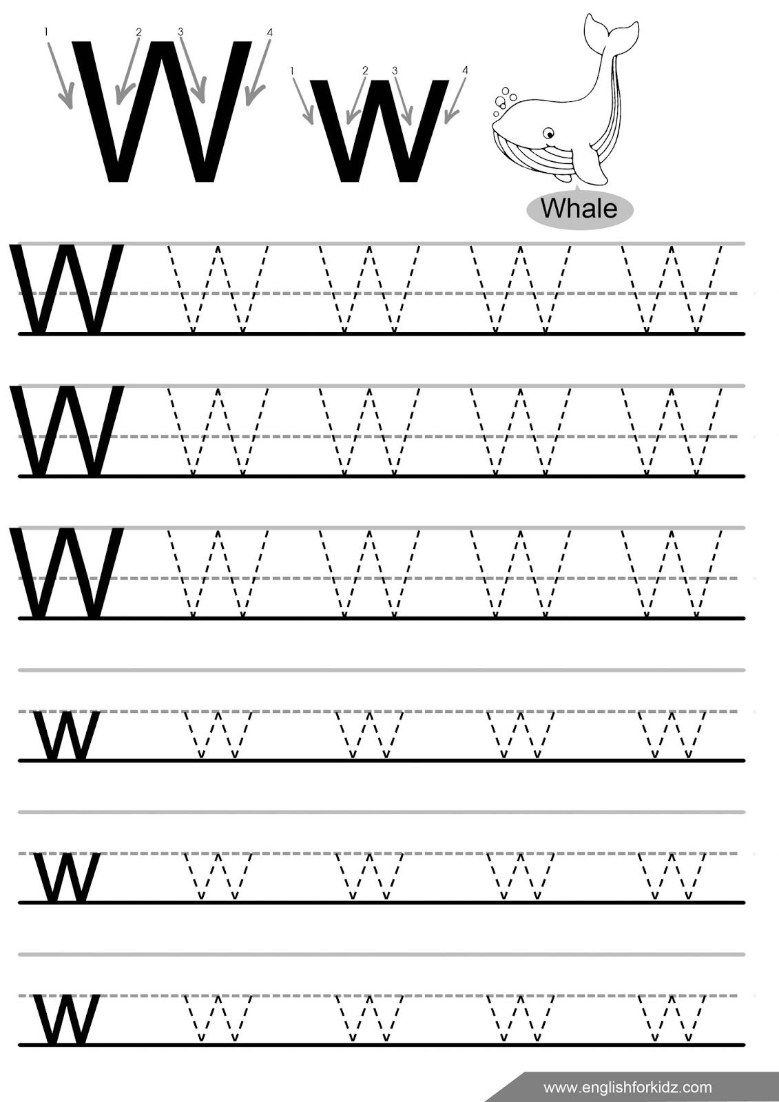 Letter W Tracing Worksheet English Alphabet Worksheets Letter W 