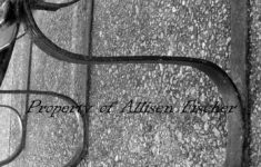 Lettography Letter Photography S