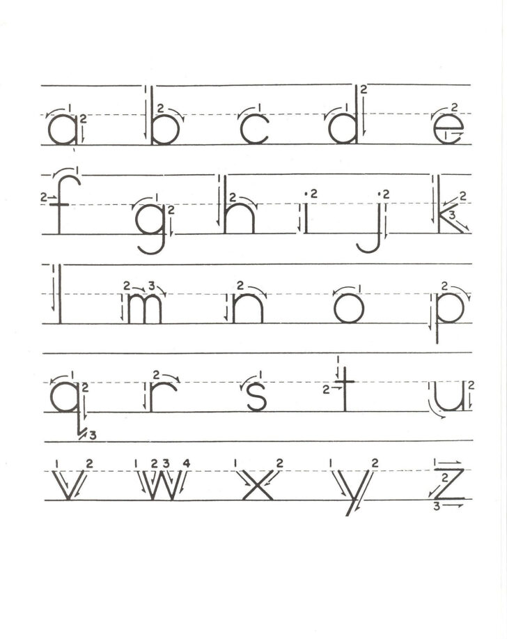 Lower Case Letter Tracing Worksheets Free