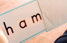 Preschool Letter H In My World