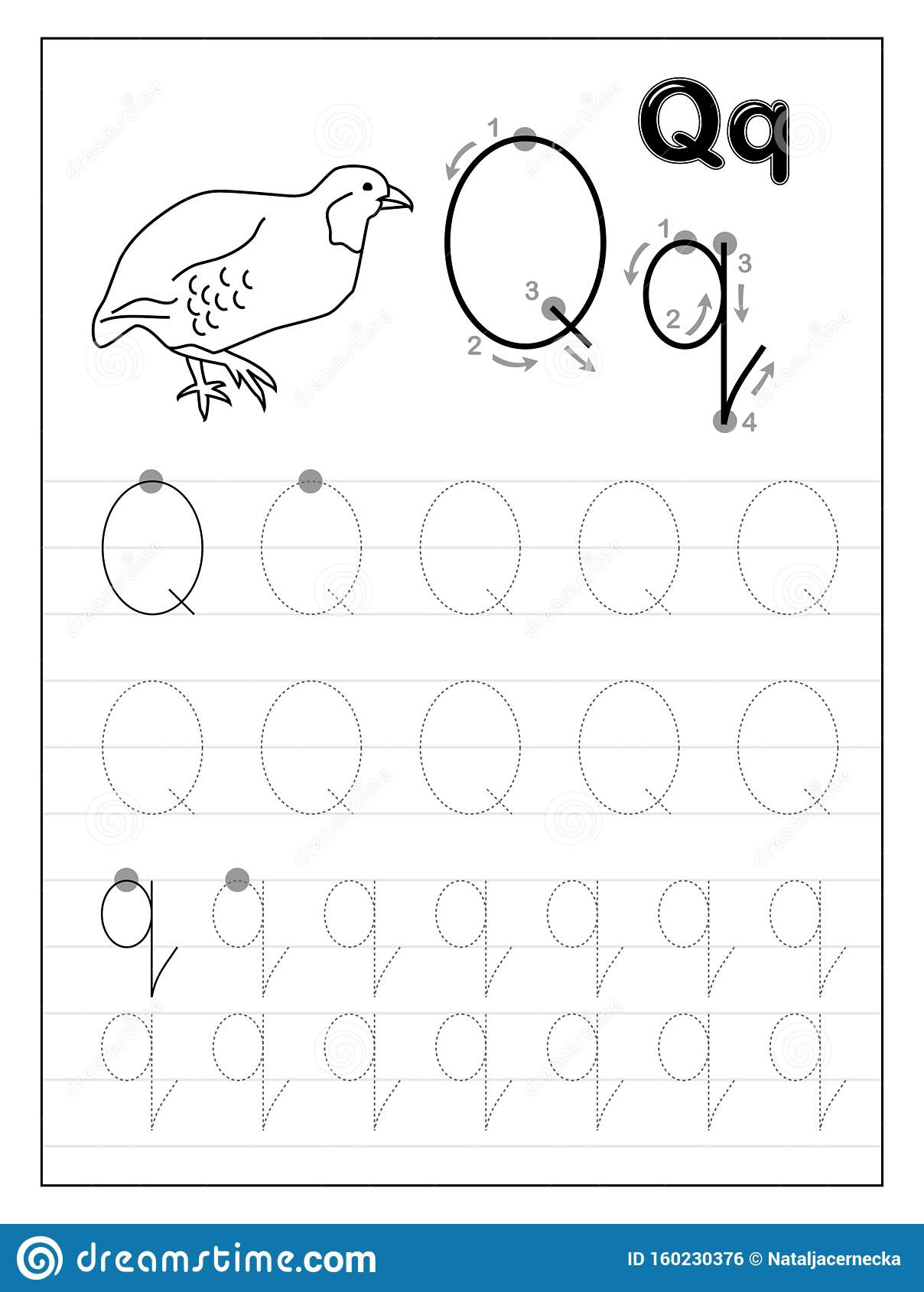 Tracing Alphabet Letter Q Black And White Educational Pages On Line 