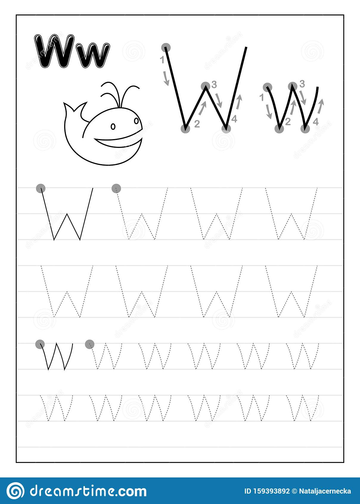Tracing Alphabet Letter W Black And White Educational Pages On Line 
