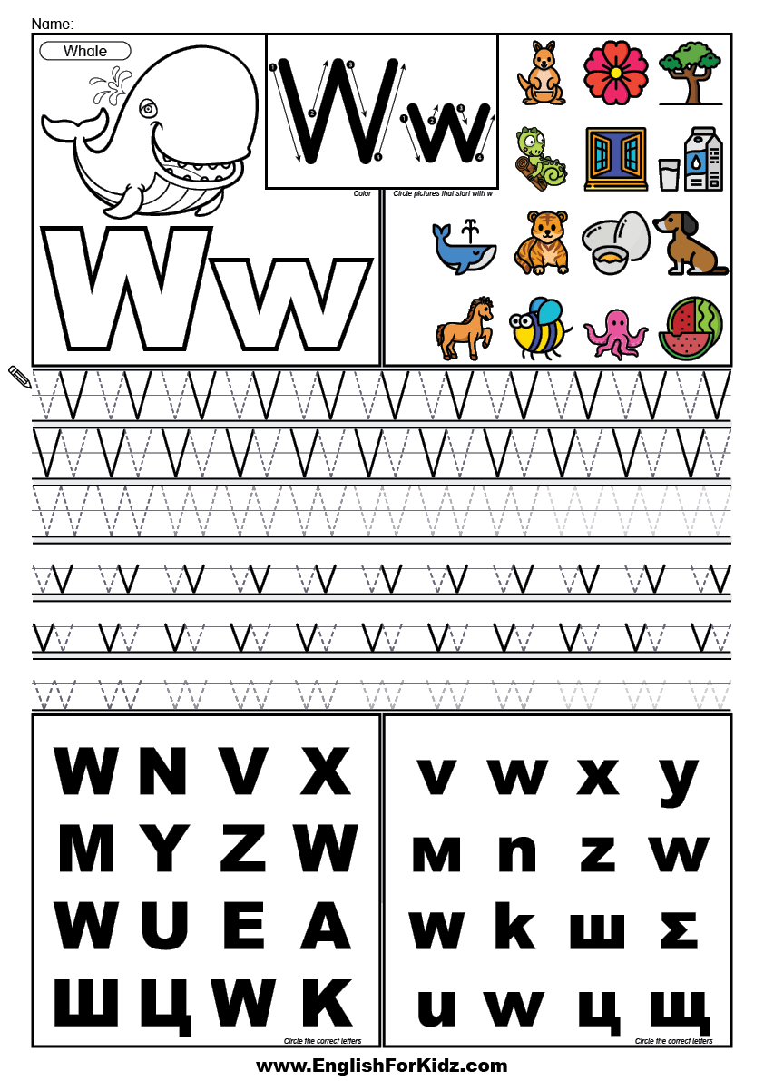 English For Kids Stepstep: Letter W Worksheets, Flash Cards intended for Letter W Tracing Worksheets For Kindergarten