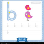 Letter B Lowercase Tracing Practice Worksheet Vector Image In Lowercase Letter B Tracing Worksheets