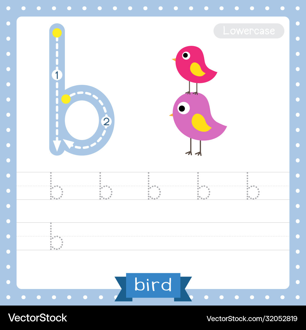 Letter B Lowercase Tracing Practice Worksheet Vector Image in Lowercase Letter B Tracing Worksheets