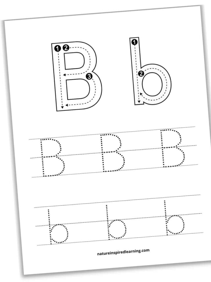 Small Letter B Tracing Worksheets