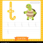 Letter T Lowercase Tracing Practice Worksheet Vector Image Intended For Small Letter T Tracing Worksheets